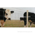 Field fence for cattle with galvanized wire